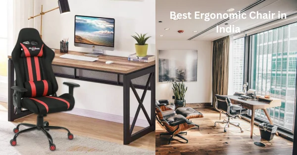 Best Ergonomic Chair in India (2025): Top Picks for Comfort and Productivity